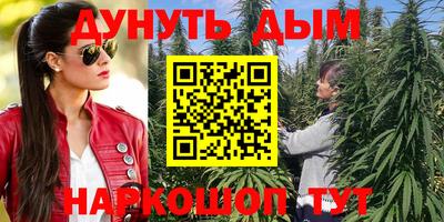 шишки Нарткала